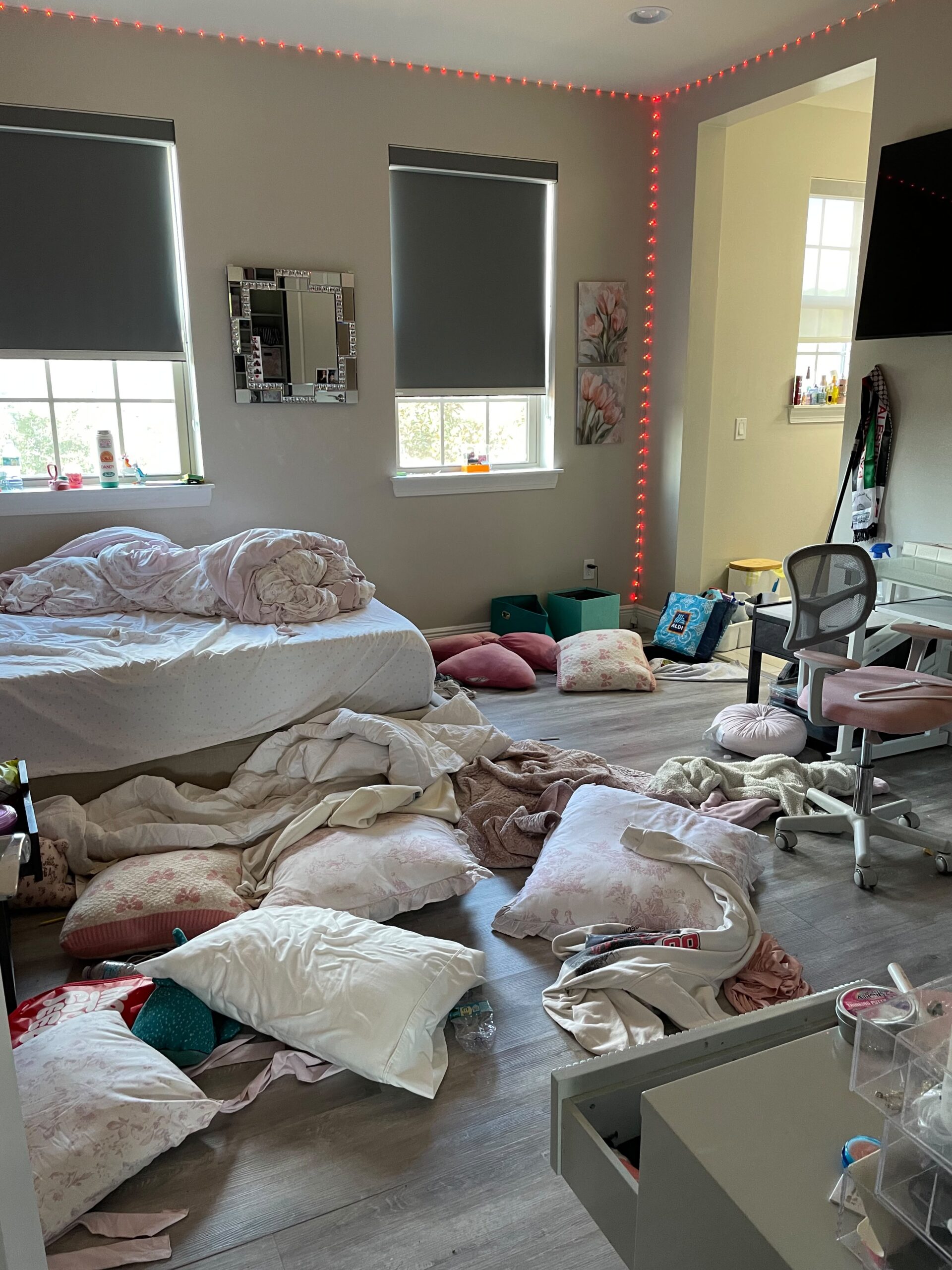 Residential Cleaning Before